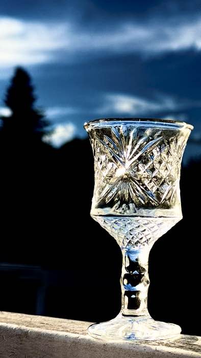 Bottle of Tratopol Rakia